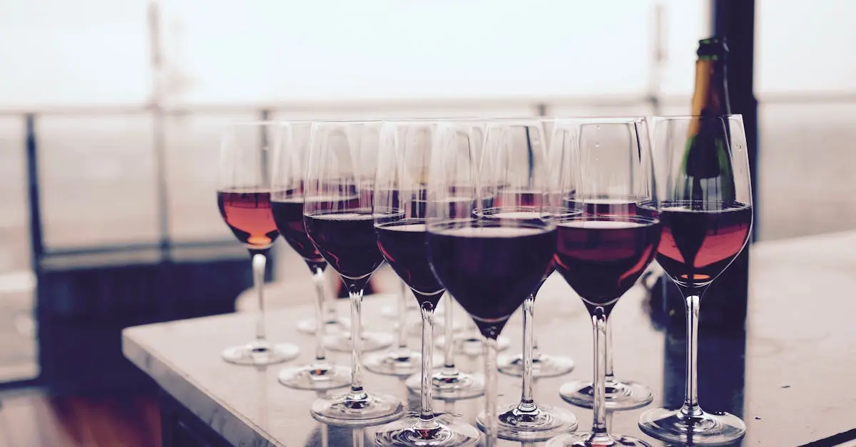 Vineyard Tour & Tasting at Skylark